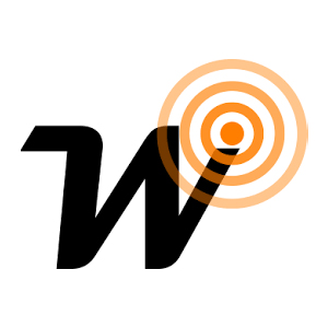 Wise controls Logo 2022