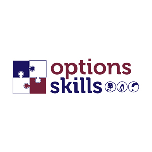 options skills web